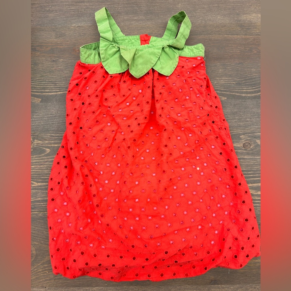Gymboree Red and Green Strawberry Dress